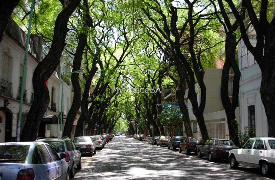 Alquiler apartamento código MSBA2312 foto 12